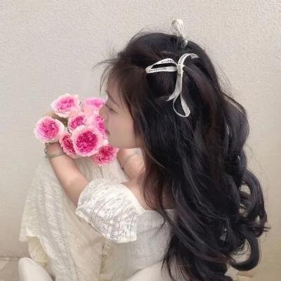 热带幻梦
