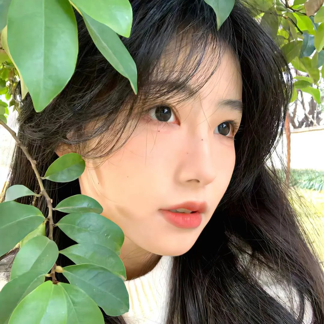 知音